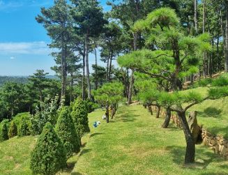 가족묘 용인수목장