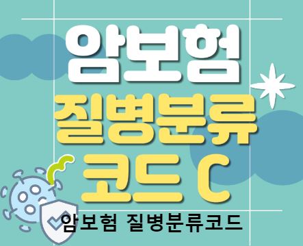 보험비교사이트 위즈인슈에서 시작하는 보험의 세계
